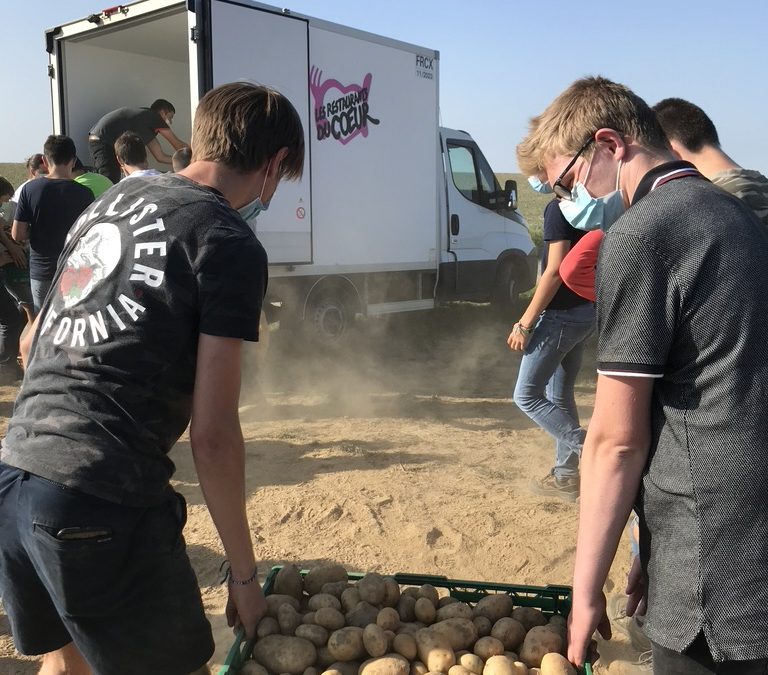 Un glanage de pommes de terre solidaire pour les Restos du cœur SOLAAL et le LEAP Savy-Berlette mobilise des élèves et des apprentis