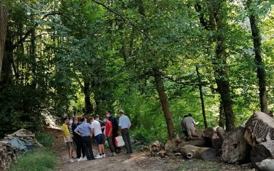 Ouverture d’une Seconde Professionnelle nature, jardins, paysage et forêt à Pierrefonds